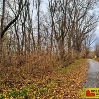 Prodej stavební parcely 3392 m² Rousínov