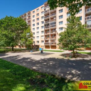 Prodej bytu 1+1 33 m² Vyškov Dědice