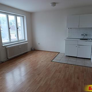 Pronájem bytu 2+1 55 m² Lipovec