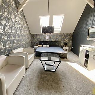 Pronájem hotelu, penzionu 292 m&sup2; Hodonín