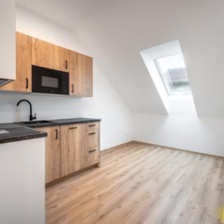 Pronájem pokoje 49 m² Brno