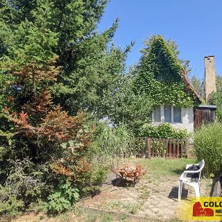 Prodej chaty 16 m² Citonice