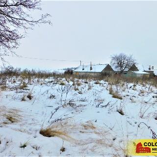 Pronájem zahrady 2 716 m² Běhařovice Ratišovice