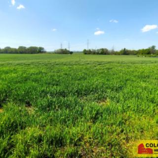Prodej zemědělské půdy 1 879 m² Telnice