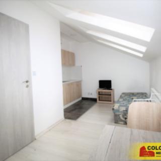 Pronájem bytu 1+kk a garsoniéry 25 m² Židlochovice