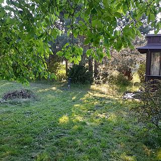 Pronájem zahrady 1504 m&sup2; Vilémovice