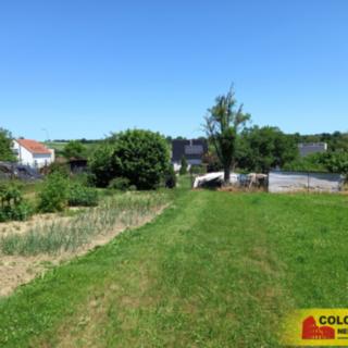 Prodej stavební parcely 990 m² Olešnice