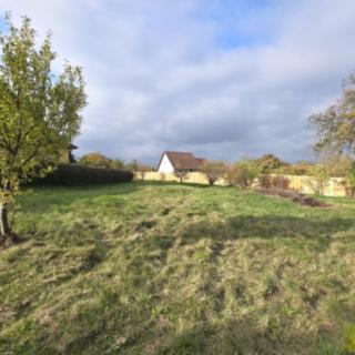 Pronájem zahrady 1278 m² Lesní Hluboké