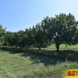 Prodej stavební parcely 550 m² Velké Pavlovice