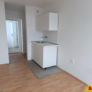 Pronájem bytu 1+kk a garsoniéry 30 m² Lipovec