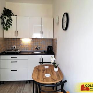 Pronájem bytu 1+1 31 m² Brno