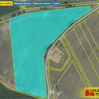 Prodej zemědělské půdy 14 686 m² Brodek u Konice