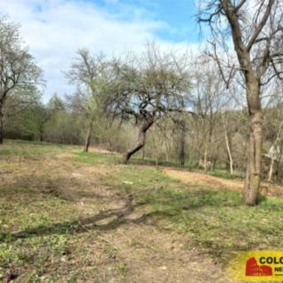 Prodej zahrady 2 519 m² Lysice