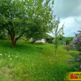 Prodej zahrady 15 m² Moravská Třebová