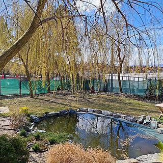 Prodej komerčního pozemku 5125 m&sup2; Brno