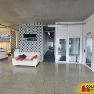 Pronájem kanceláře 2 500 m² Brno Horní Heršpice