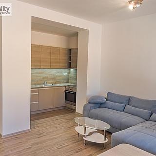 Pronájem bytu 2+kk 55 m² Plzeň Východní Předměstí, Plzenecká