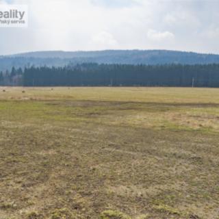 Prodej stavební parcely 6 774 m² Nicov