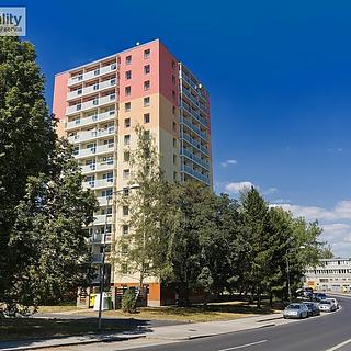 Pronájem bytu 3+1 65 m² Cheb