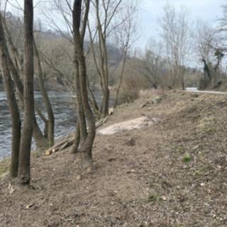 Prodej ostatních pozemků 86 m² Stříbrná Skalice
