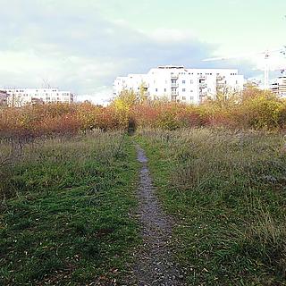 Prodej komerčního pozemku 12423 m² Praha