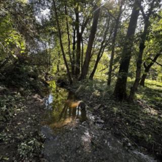 Prodej stavební parcely 836 m² Říčany