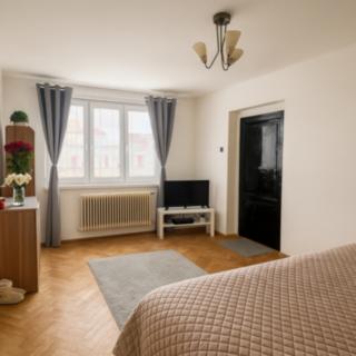 Pronájem bytu 2+kk 46 m² Blatná