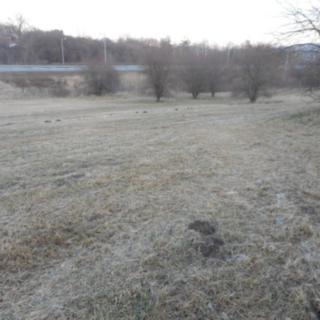 Prodej komerčního pozemku 5875 m² Písek