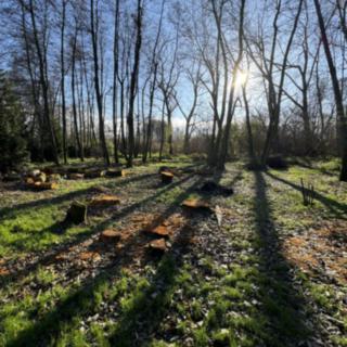 Prodej stavební parcely 2000 m² Říčany