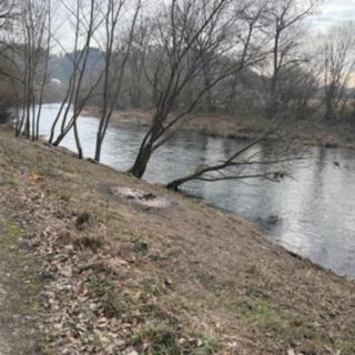 Prodej ostatních pozemků 86 m² Stříbrná Skalice