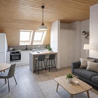 Prodej bytu 1+kk a garsoniéry 31 m² Horní Planá