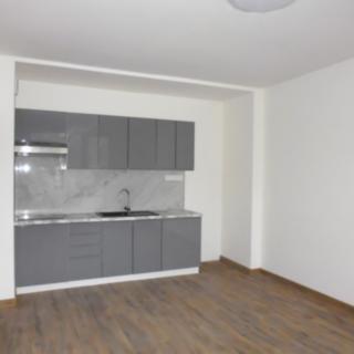 Prodej bytu 1+kk, garsoniery 27 m² Slapy