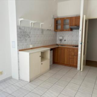 Pronájem bytu 1+1 44 m² Praha Vinohrady