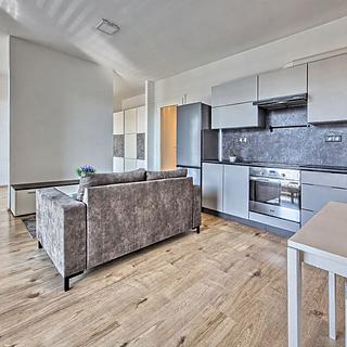 Pronájem bytu 1+kk, garsoniery 47 m&sup2; Praha