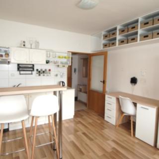 Pronájem bytu 1+1 37 m² Písek Budějovické Předměstí