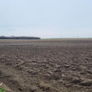 Prodej zemědělské půdy 3000 m² Praha