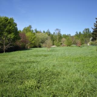 Prodej stavební parcely 2518 m² Velké Popovice