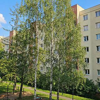 Prodej bytu 2+1 53 m² Praha Vokovice