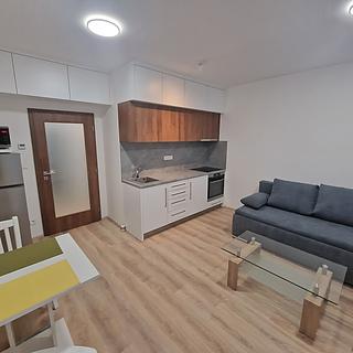 Pronájem bytu 1+kk, garsoniery 26 m² Praha