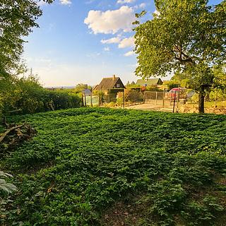 Prodej zahrady 133 m² Říčany