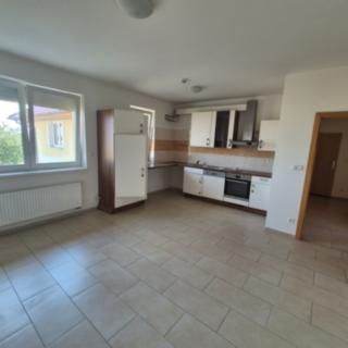 Pronájem bytu 3+1 105 m² Zbuzany