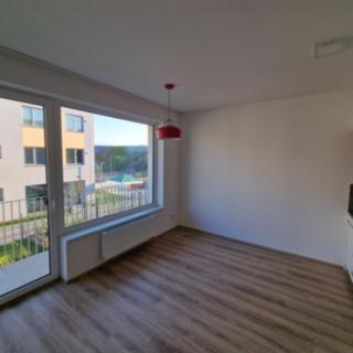 Pronájem bytu 1+kk a garsoniéry 26 m² Praha Újezd u Průhonic
