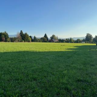Prodej stavební parcely 3927 m² Ropice