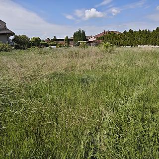 Prodej stavební parcely 911 m&sup2; Lichoceves