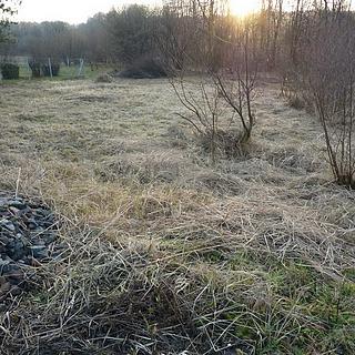 Prodej stavební parcely 899 m² Jistebník