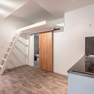 Prodej bytu 1+kk a garsoniéry 20 m² Praha Žižkov