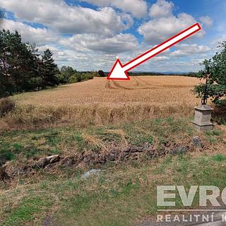 Prodej zemědělské půdy 10 994 m² Drahouš Tlestky