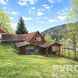 Prodej chalupy 110 m² Desná I, Výletní