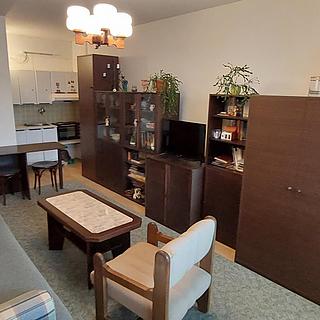 Prodej bytu 1+kk a garsoniéry 28 m² Valašské Meziříčí, Vsetínská