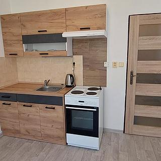 Pronájem bytu 1+kk a garsoniéry 21 m² Rožnov pod Radhoštěm, Lesní